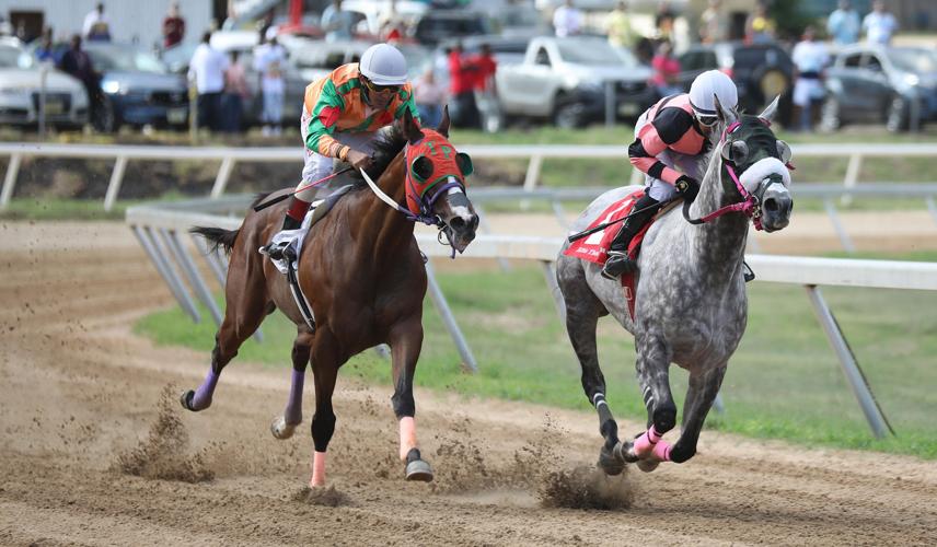 Hundreds flock to August Festival races after six-year hiatus | Sports ...