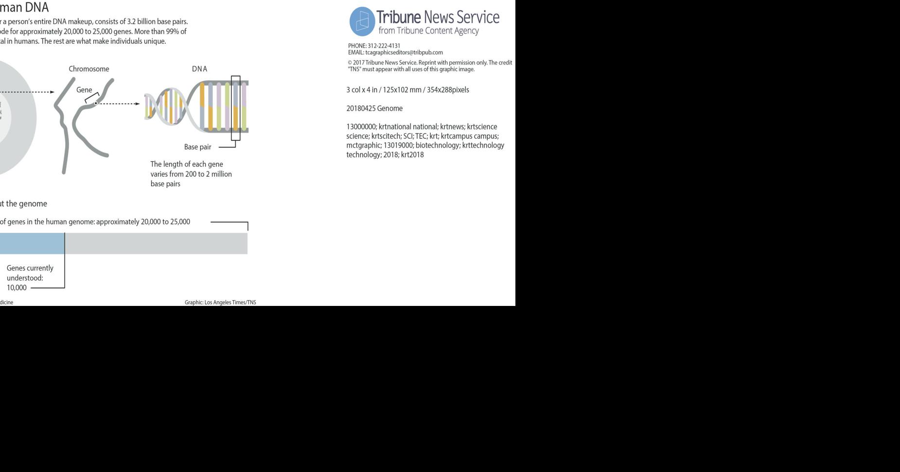 Decoding your baby's DNA It can be done. But should it be?