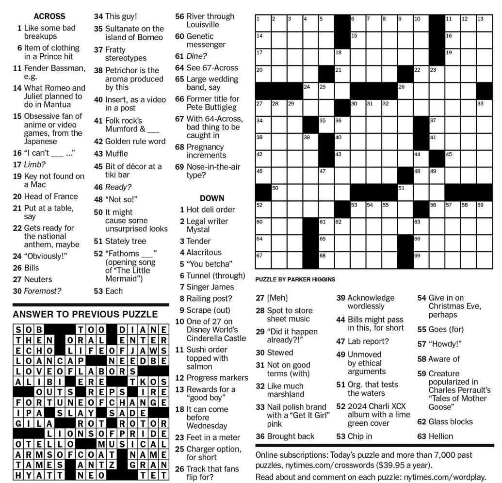 NEW YORK TIMES PUZZLE