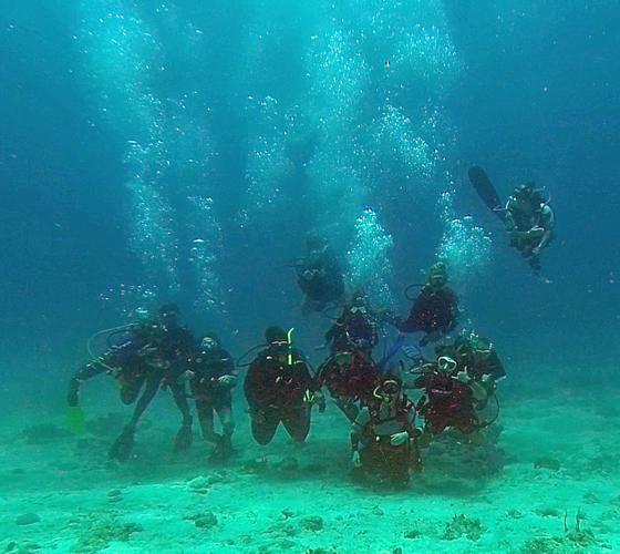 V.I. women join throngs globally celebrating passion for ocean News