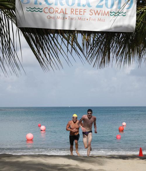 St. Croix Coral Swim