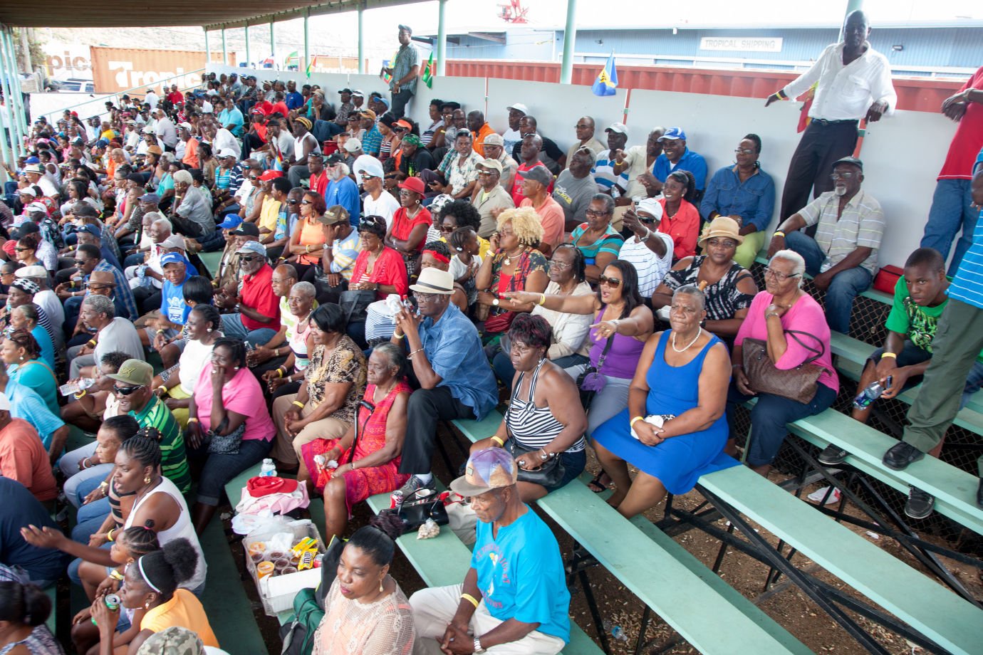 Cricket Fans Come Out In Droves For Match | Sports ...