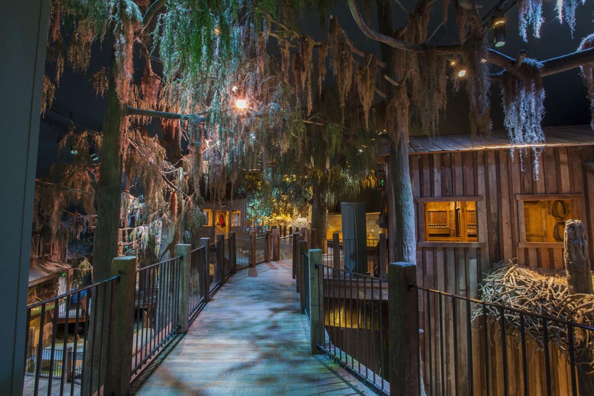 New wonders of wildlife aquarium and museum turns conservation knob to