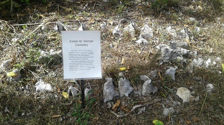 Hands off conch when it's out of season Opinion