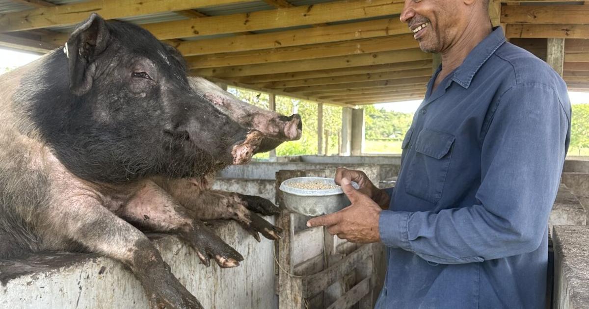 Polius Raslavicius Polius named Livestock Farmer of the Year | News ...