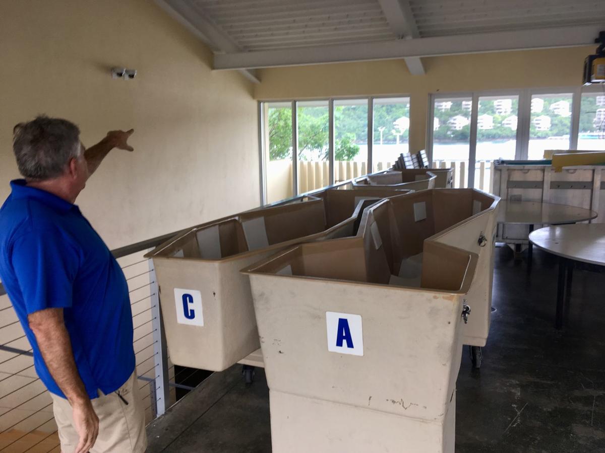 Coral World S Dolphins Doing Well After Hurricane Dorian