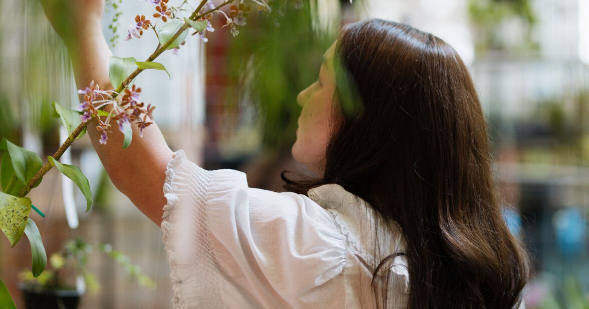 Southern California’s Beloved Garden Show Returns to South Coast Plaza for Its 36th Year