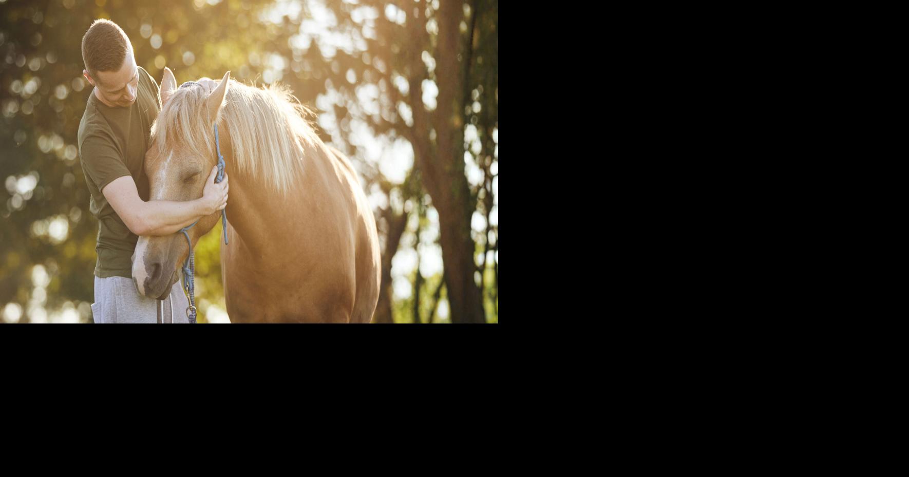 Toshiba & Partners Donate $114,000 to Help Veteran & Youth Causes