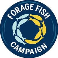 National Coalition Launches Forage Fish Campaign to Protect America's Waters, Coastal Economies, and Marine Ecosystems