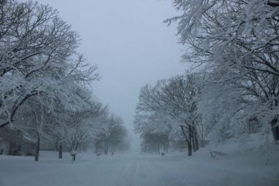 Winter Storm Causes Wide Spread Power Outages Local News Voiceofalexandria Com