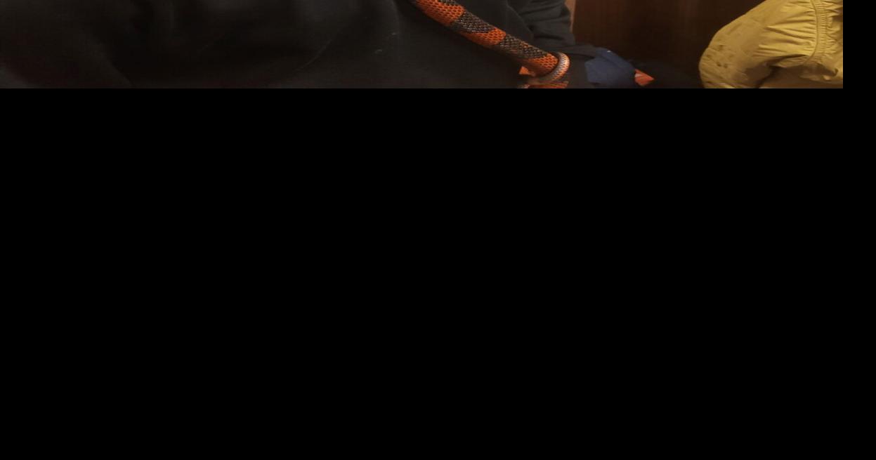 Annual STEAM Expo coming to AAHS on March 26, fun for all ages