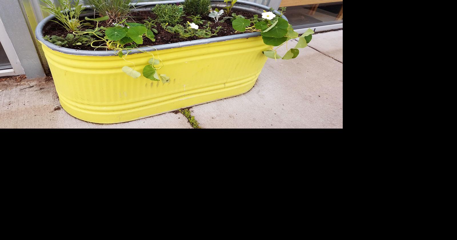 Fertilizing Your Plants in Hot Weather Home And Garden