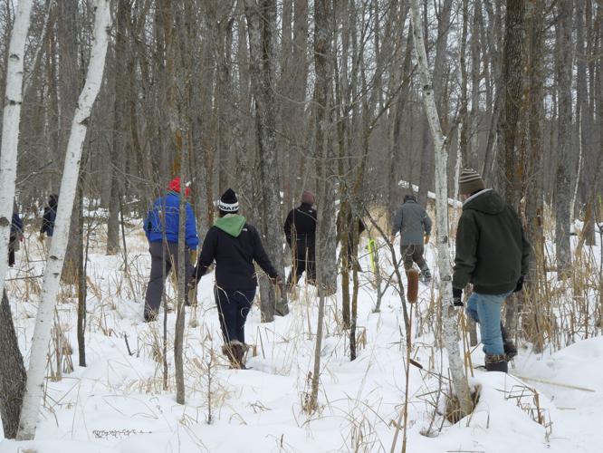 snowshoe 2.JPG