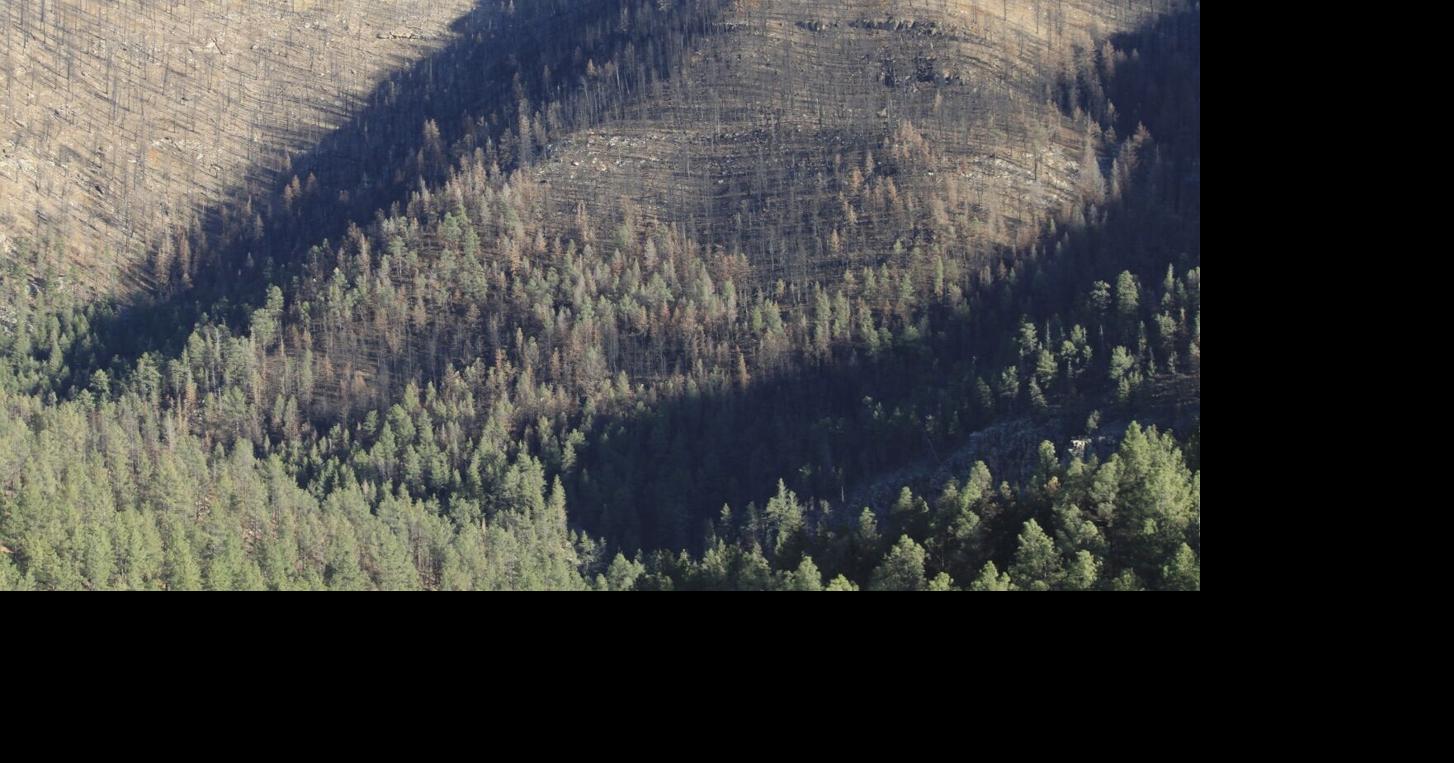 Prescribed burns planned this week in west central Minnesota | Local ...