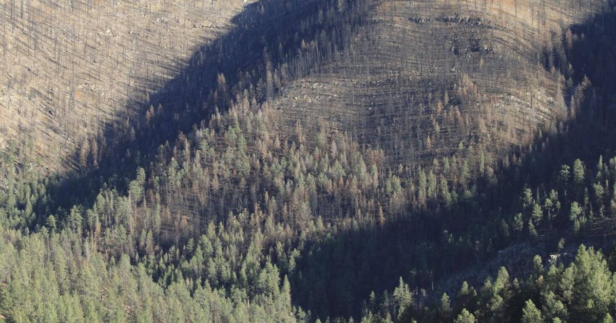 Prescribed burns planned this week in west central Minnesota | Local ...