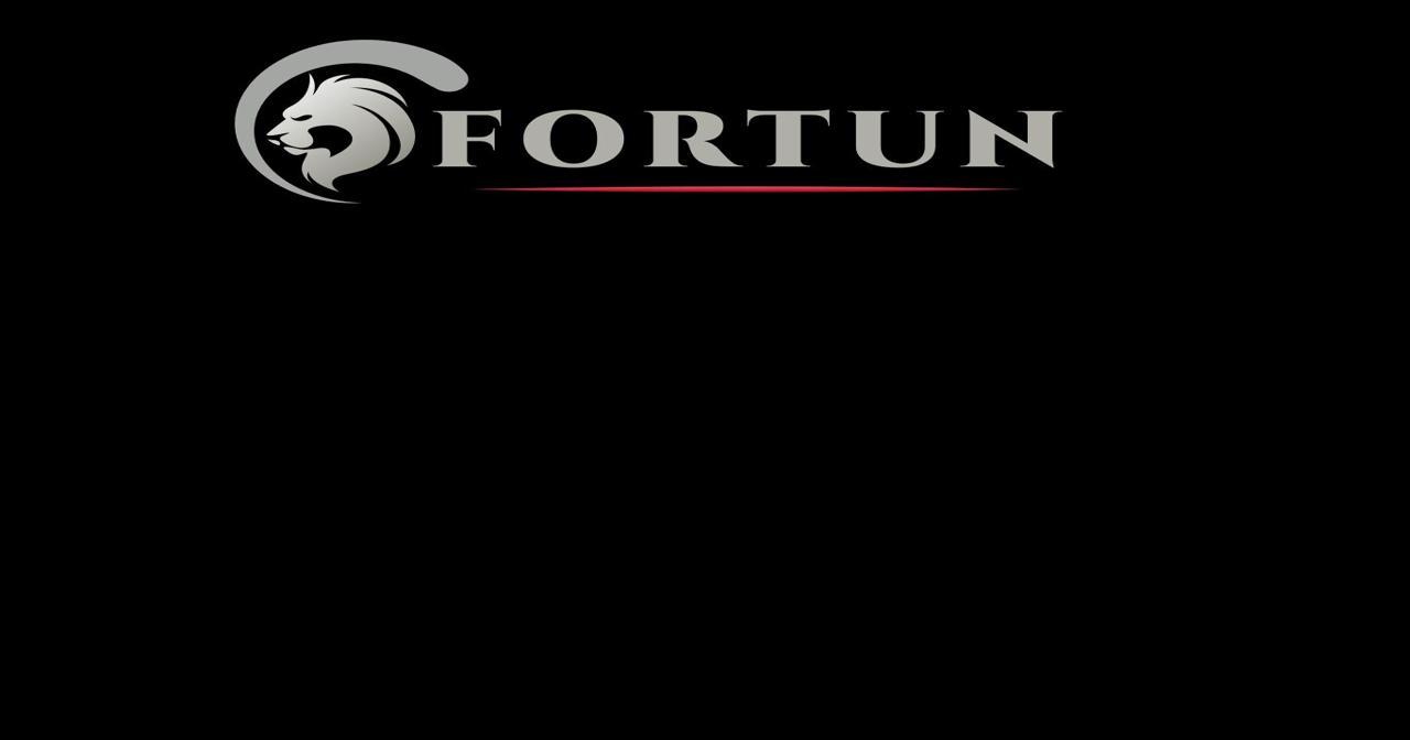 Fortun Holdings, Corp. Launches New Corporate Website at FRTU.com