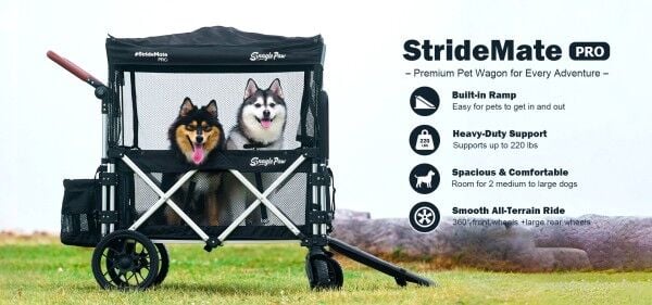Snagle Paw Introduces Premium Mobility and Home Safety Solutions for Modern  Pet Families | News | voiceofalexandria.com