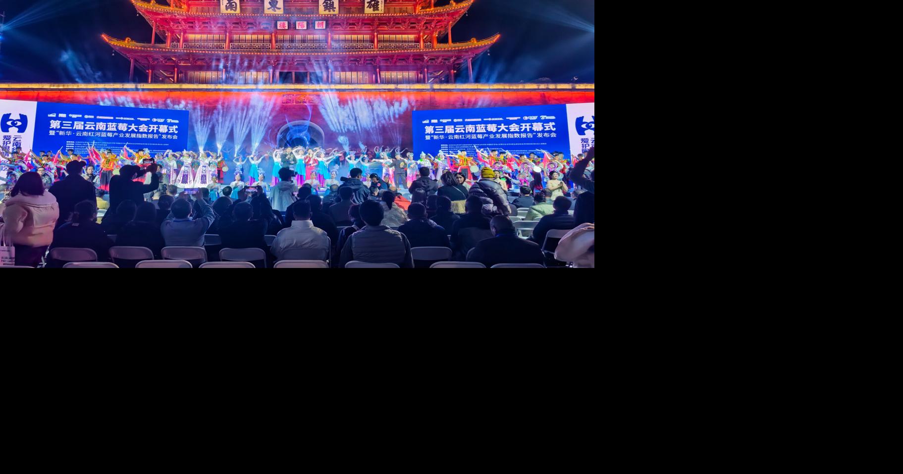 China Industry Leaders Convene in Jianshui to Chart the Blueberry Sector’s Growth Path