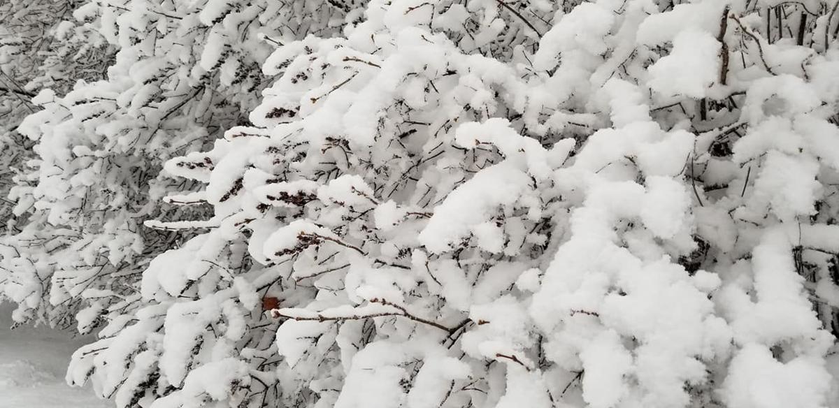 Heavy Snow Rain Adds To Snow Totals In West Central Mn Local