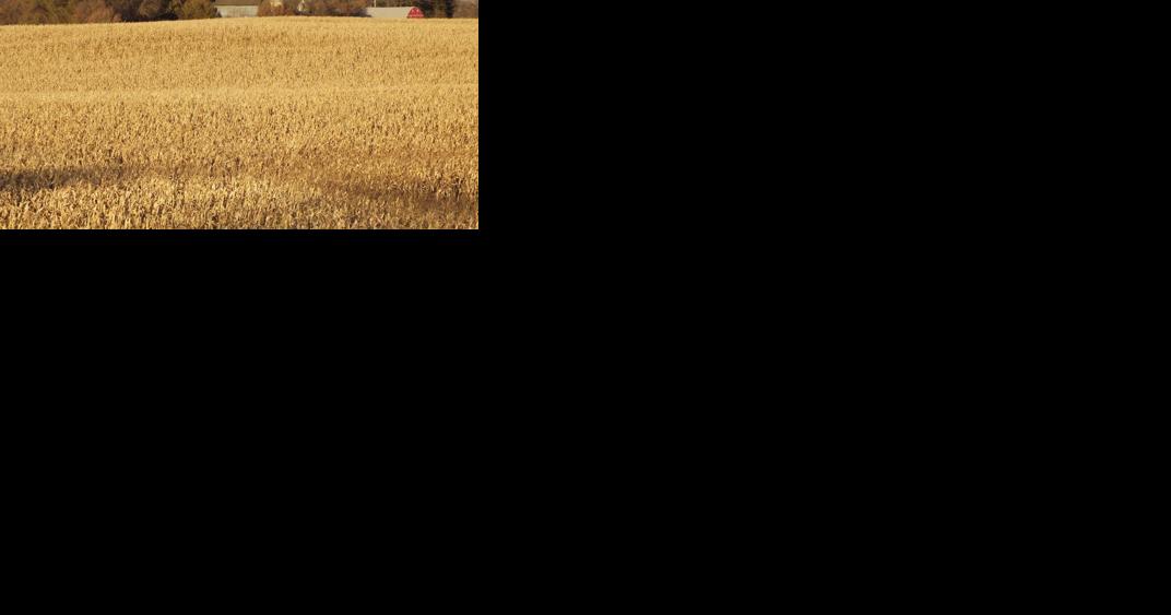 Study of Agriculture Shows Industry Adds More Than $37B to Minnesota Economy - Vimarsana News