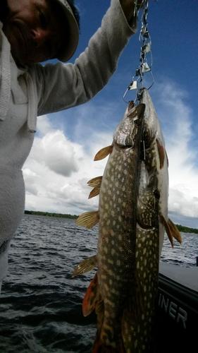 How to Get Into Winter Darkhouse Spearing for Northern Pike - Wide