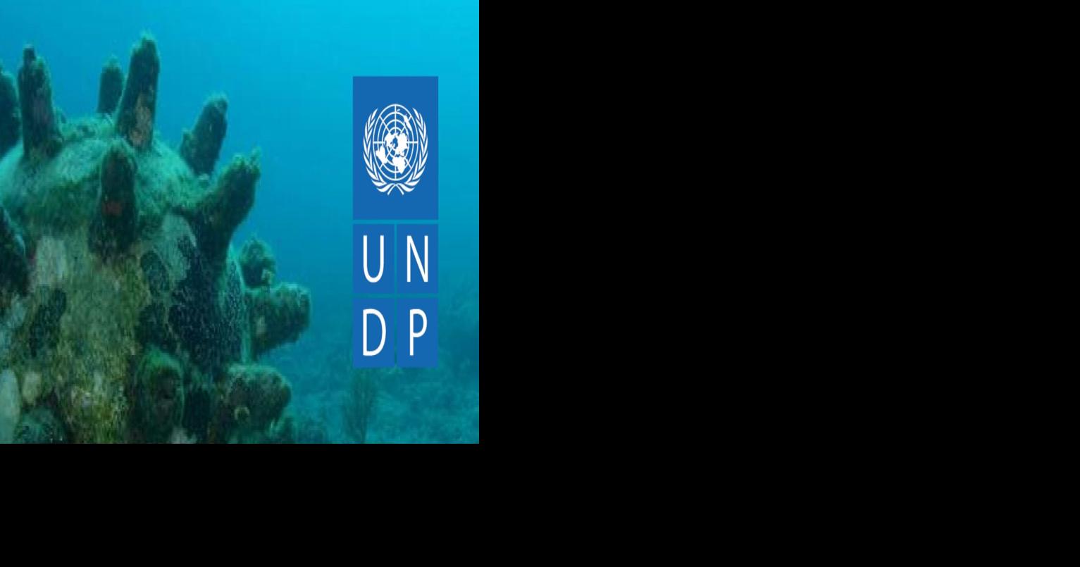 Public Can Help Rid Oceans of Mines in New Freelancer Global Challenge