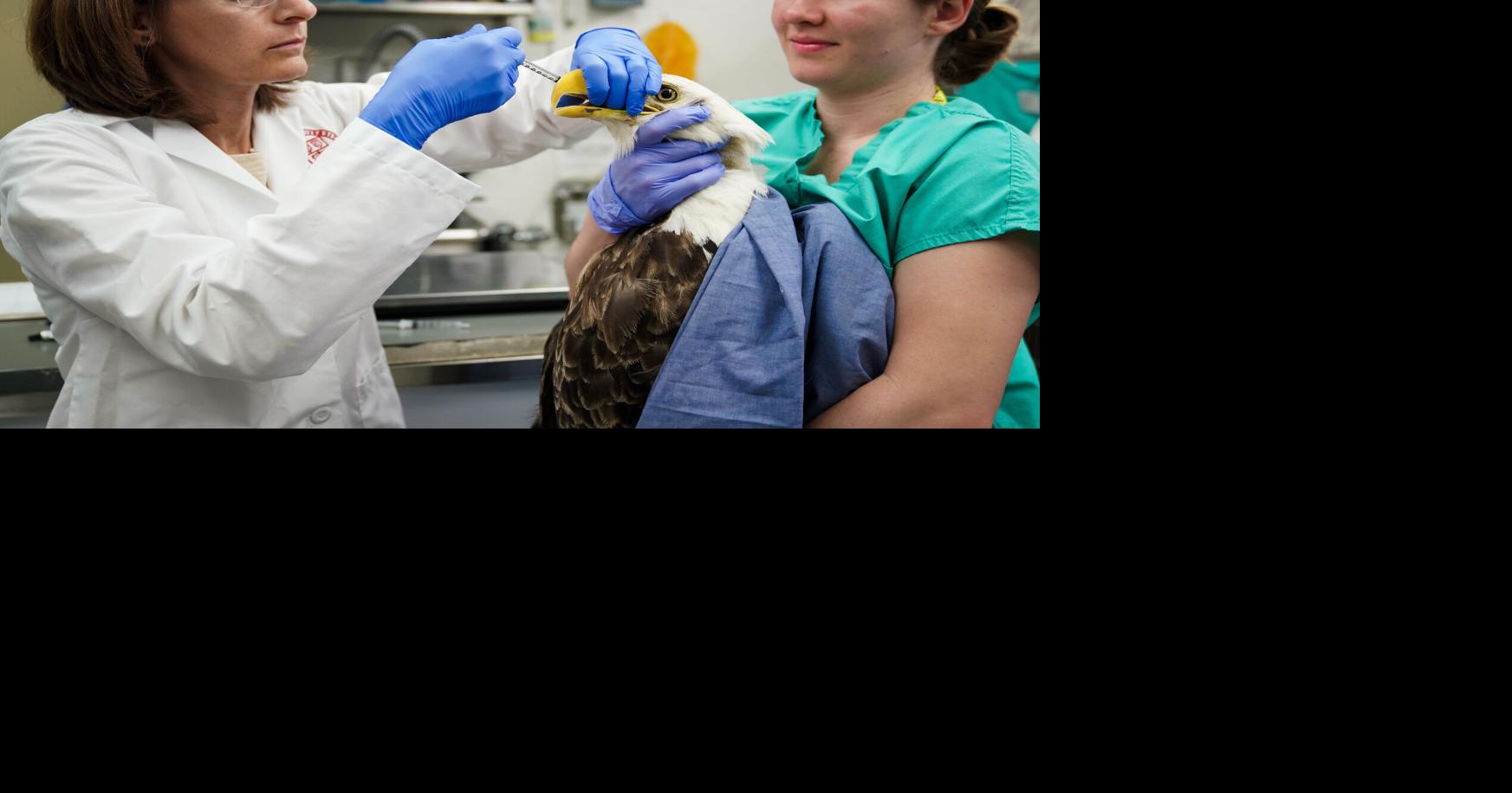 Avangrid Foundation Provides $3.1 Million to Support Over 70 Community Organizations in 2025