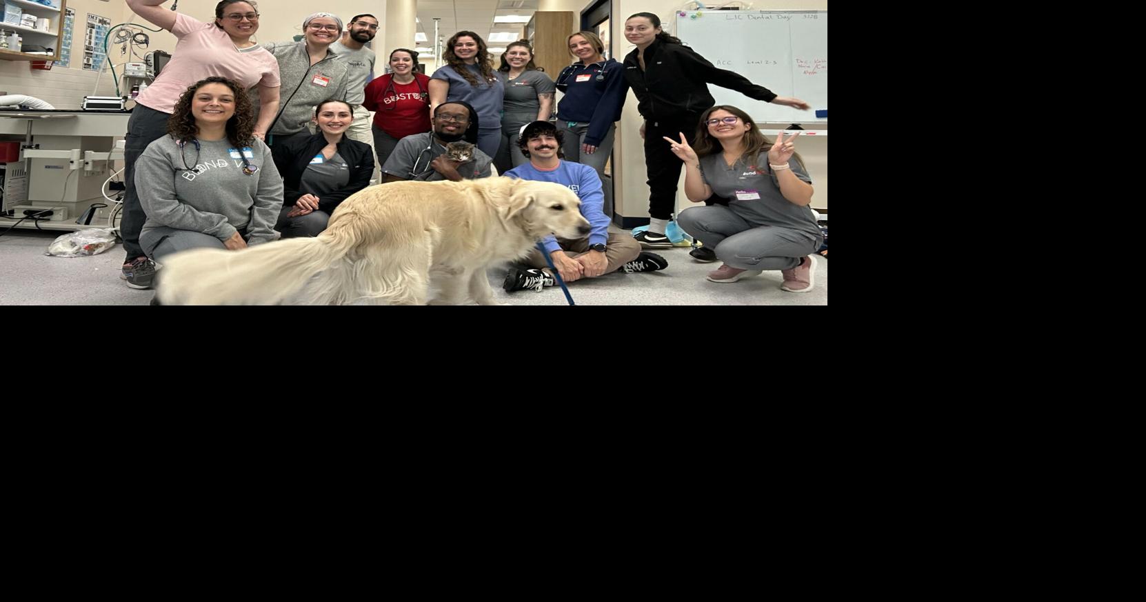 Bond Vet Launches “Bond to the Rescue” Partnership with Animal Care Centers of NYC