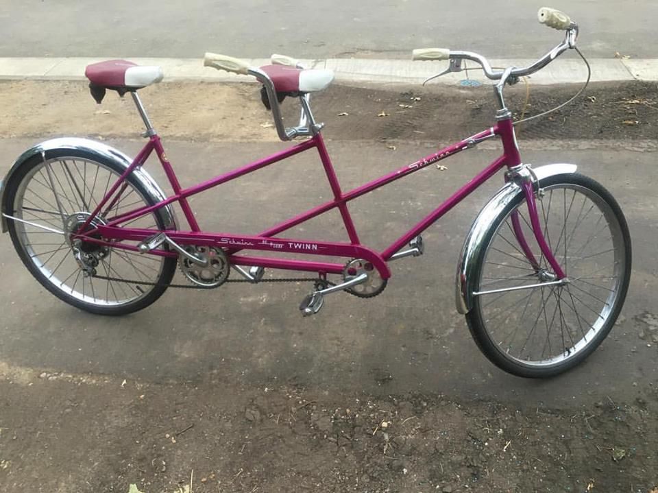 schwinn twin