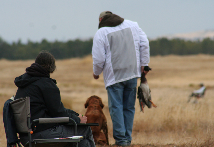 akc field trials