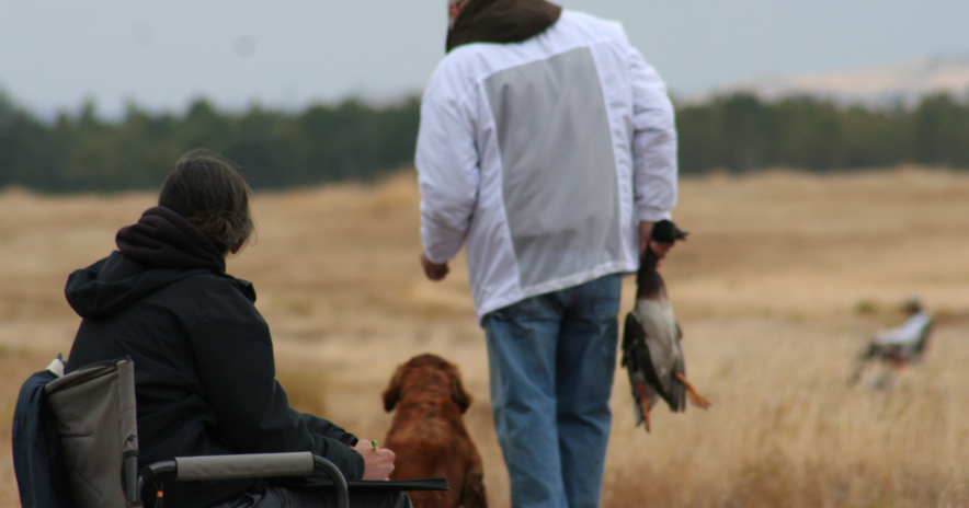 National retriever field trials in Alexandria area - Vimarsana News