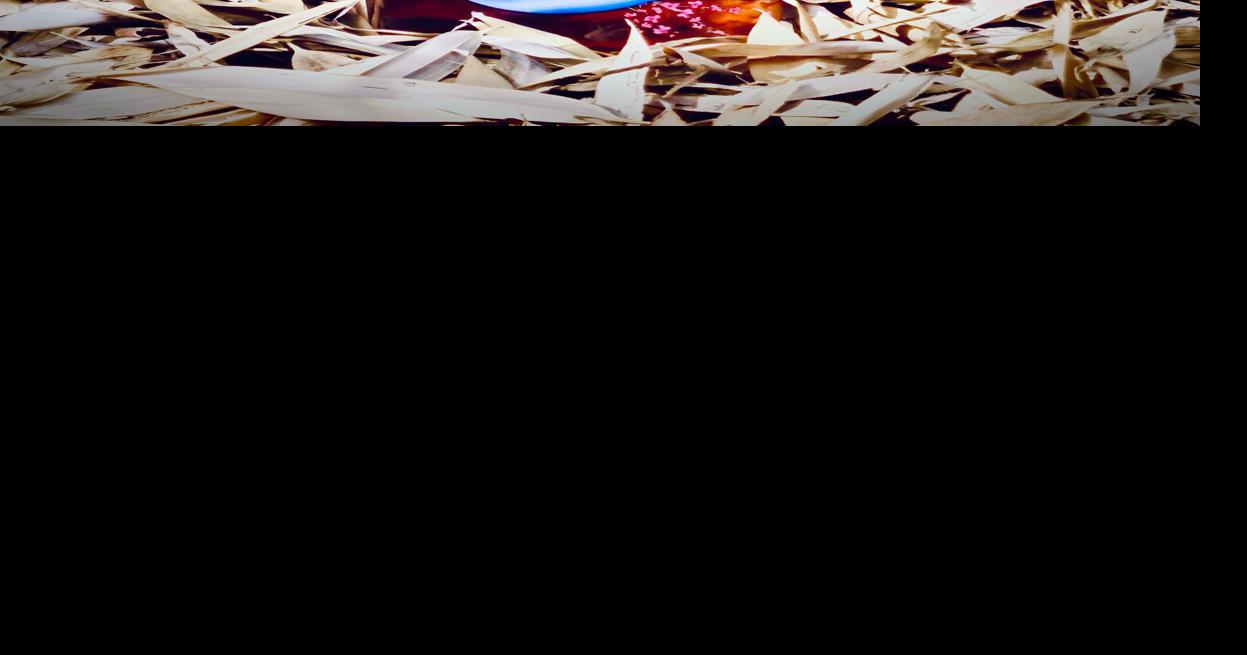 SETO Holdings,Inc Acquires CapCity Beverage, LLC to Strengthen U.S. Importation, Distribution Infrastructure, and Brand Acceleration