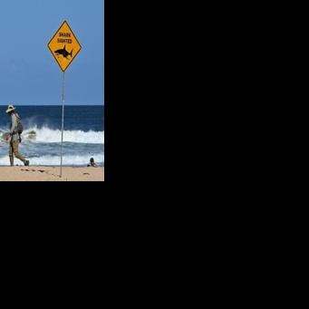 Australia fends off shark bites with new tech and old
