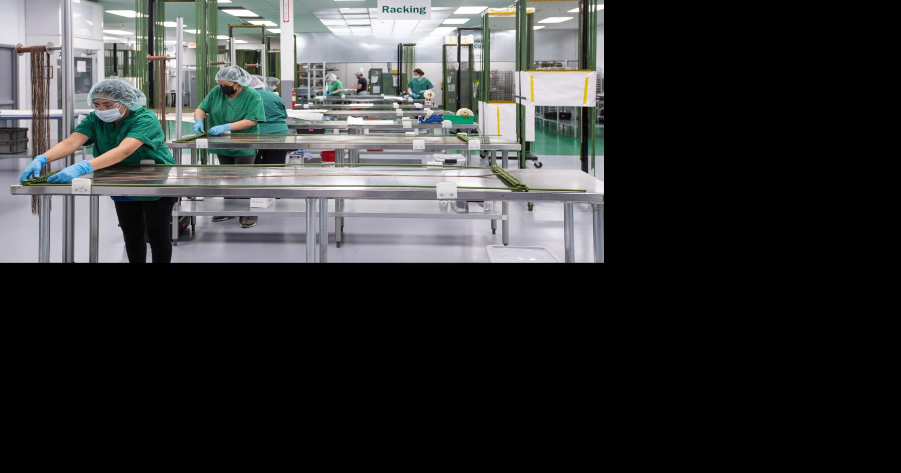 Surface Solutions Group to Bring Advanced Coating Processes for Medical Devices to Costa Rica with an Investment Exceeding US$10 Million