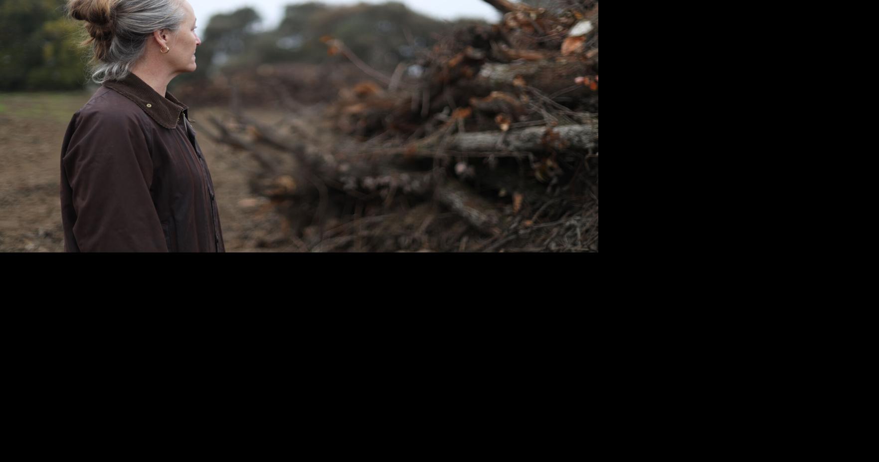 California Pear Farmers Seek Relief From Surging Argentine Imports That Undercut U.S. Market