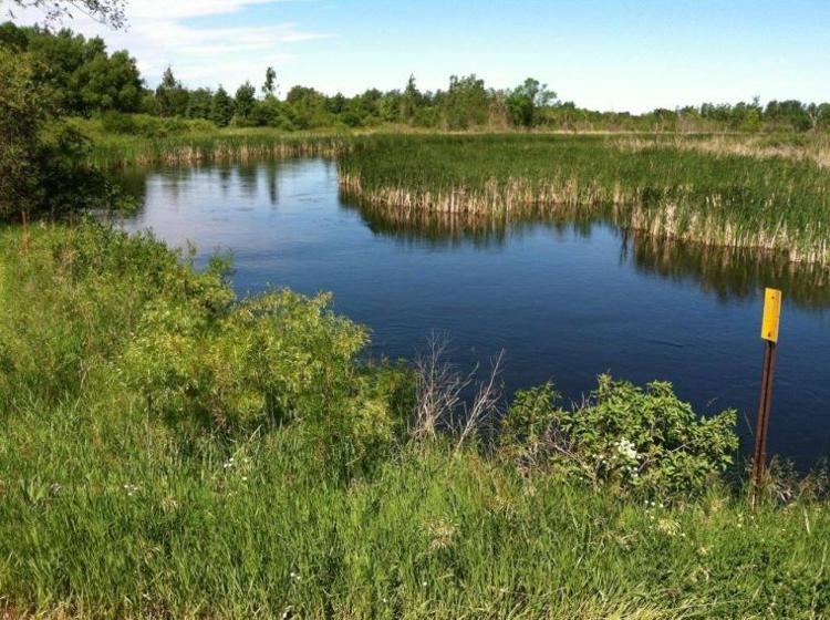 Paddle the Long Prairie River Community Events