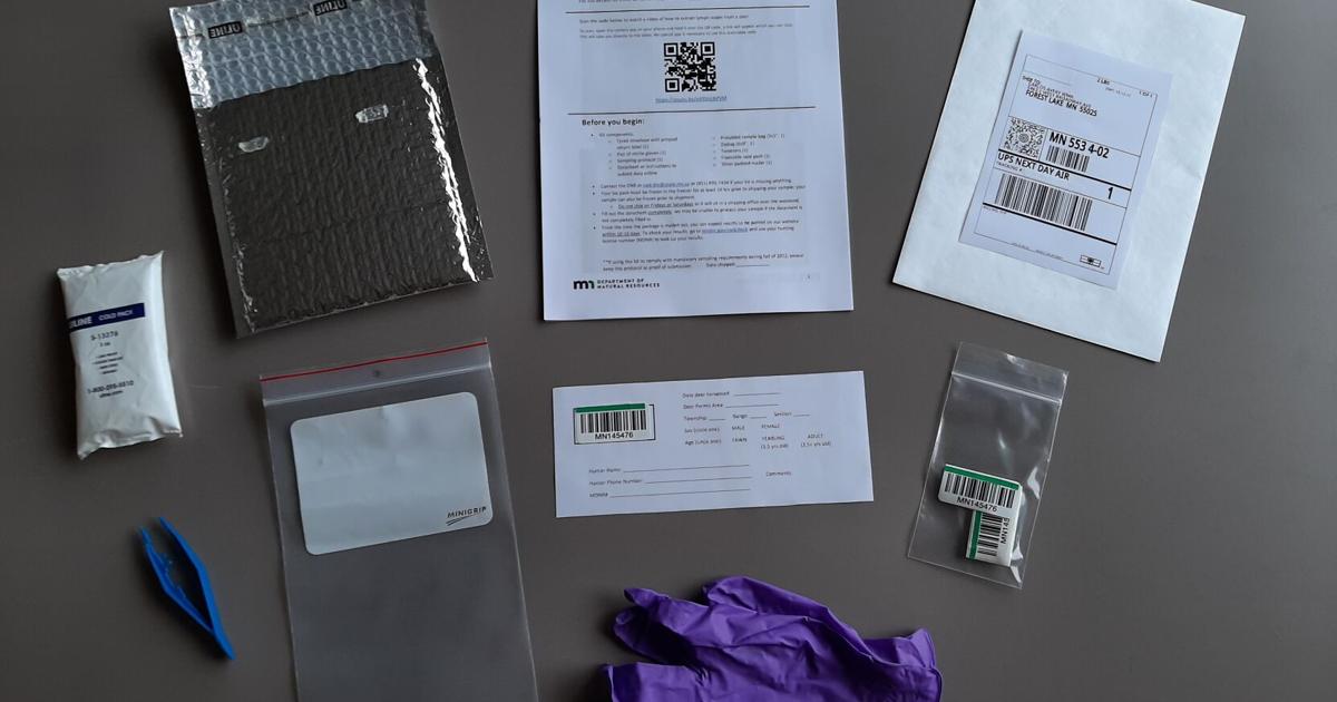 DNR offering deer hunters free CWD test kits ahead of opener | Local ...