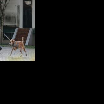 Taiwan leader postpones Eswatini trip after overflight permits revoked