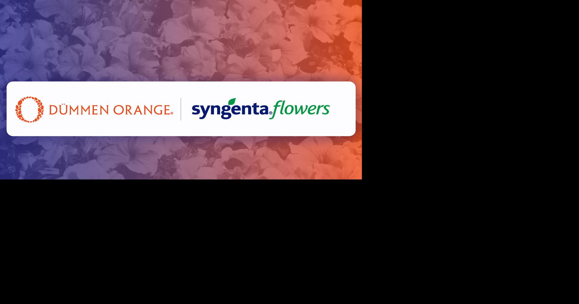 Syngenta to divest its Flowers business into a Joint Venture with Dümmen Orange