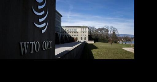 WTO hikes 2025 trade growth outlook but tariffs to bite in 2026