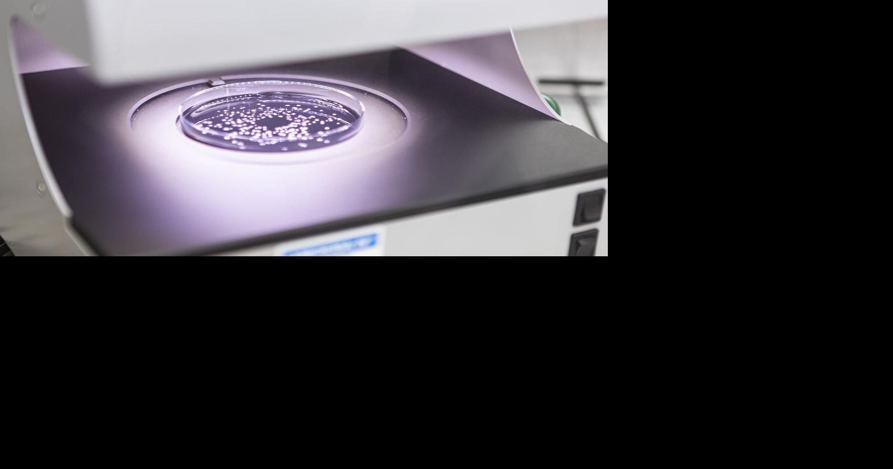 A natural breakthrough in protecting cereals and field crops