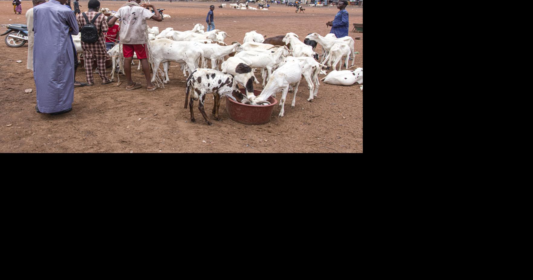 A bitter Eid al-Adha in Mali's capital as al-Qaida-linked blockade sends sheep prices soaring
