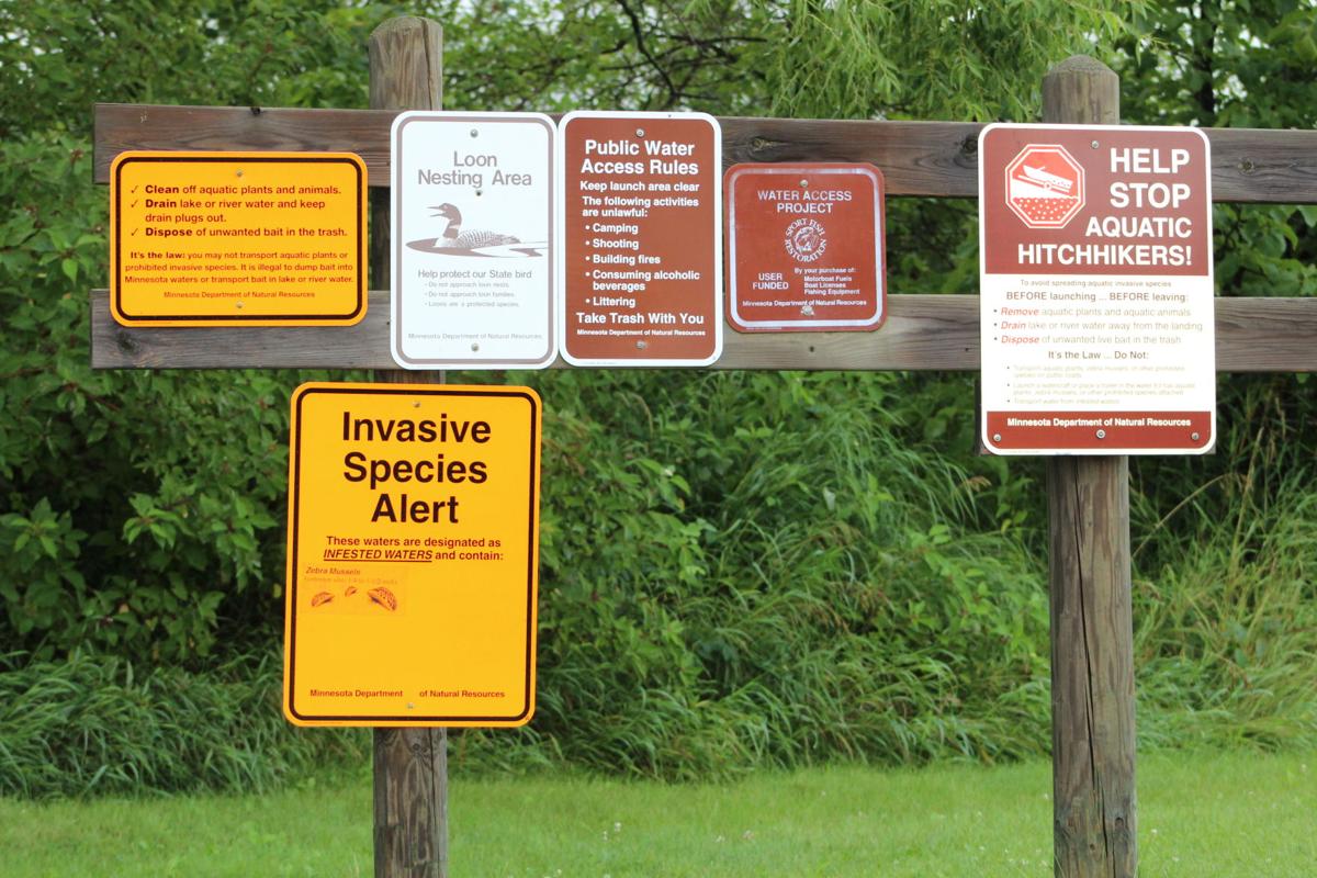 Zebra mussels confirmed in 5 Minnesota lakes | Local News ...