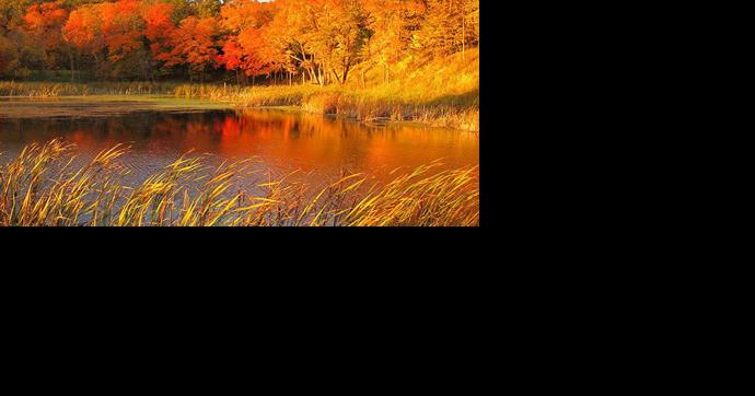 2020 Minnesota Fall Color Forecast - Vimarsana News