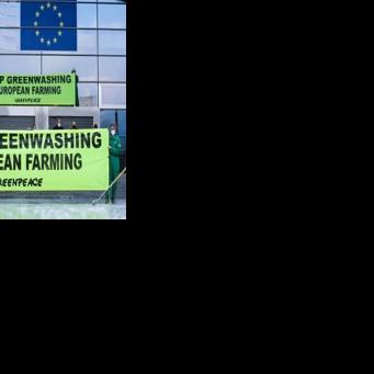 EU plans to scrap anti-greenwashing rules after pushback