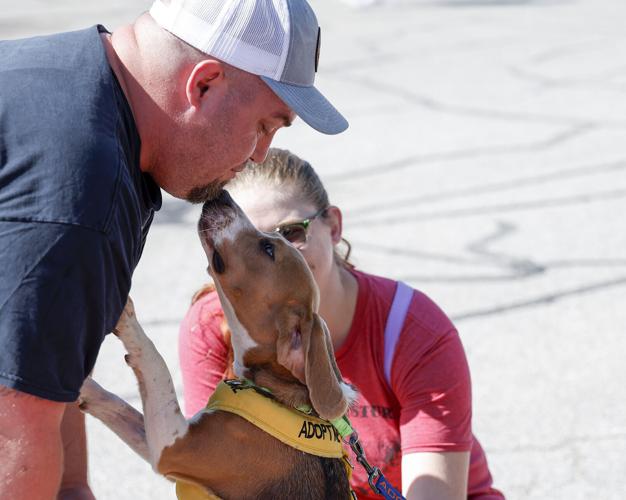 Adoptable dog Caesar kisses expo attendee Dennis Patterson