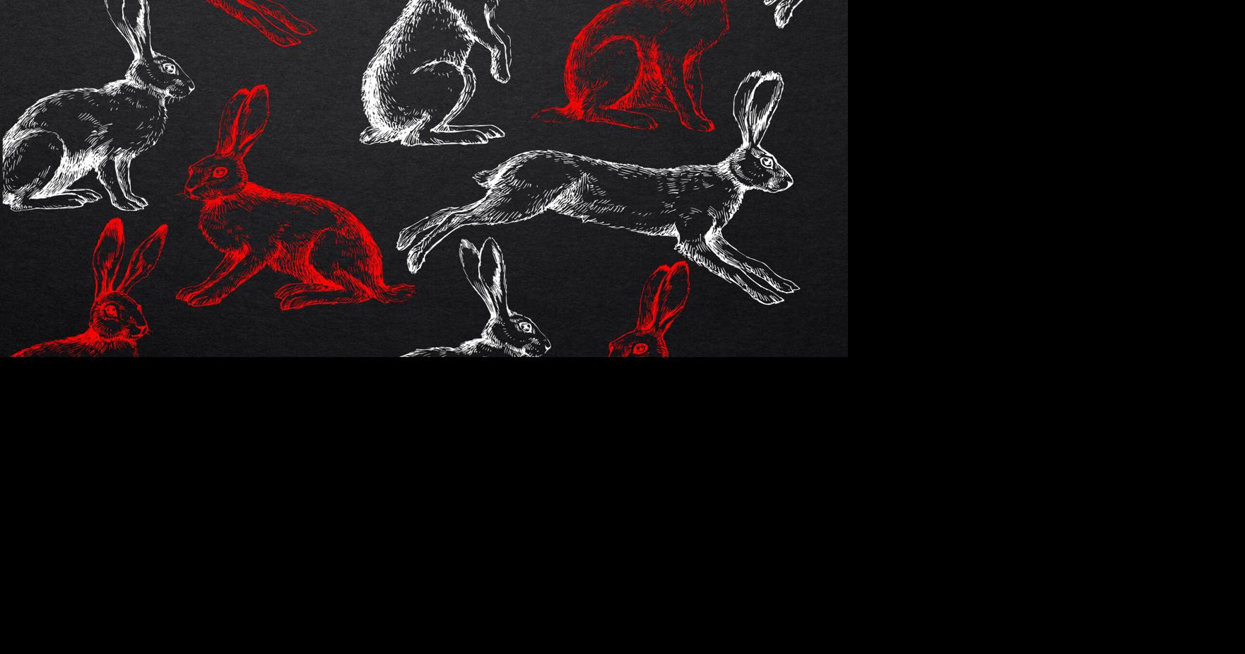 Improv is afoot in 'White Rabbit Red Rabbit' | Arts & Culture | Vox ...