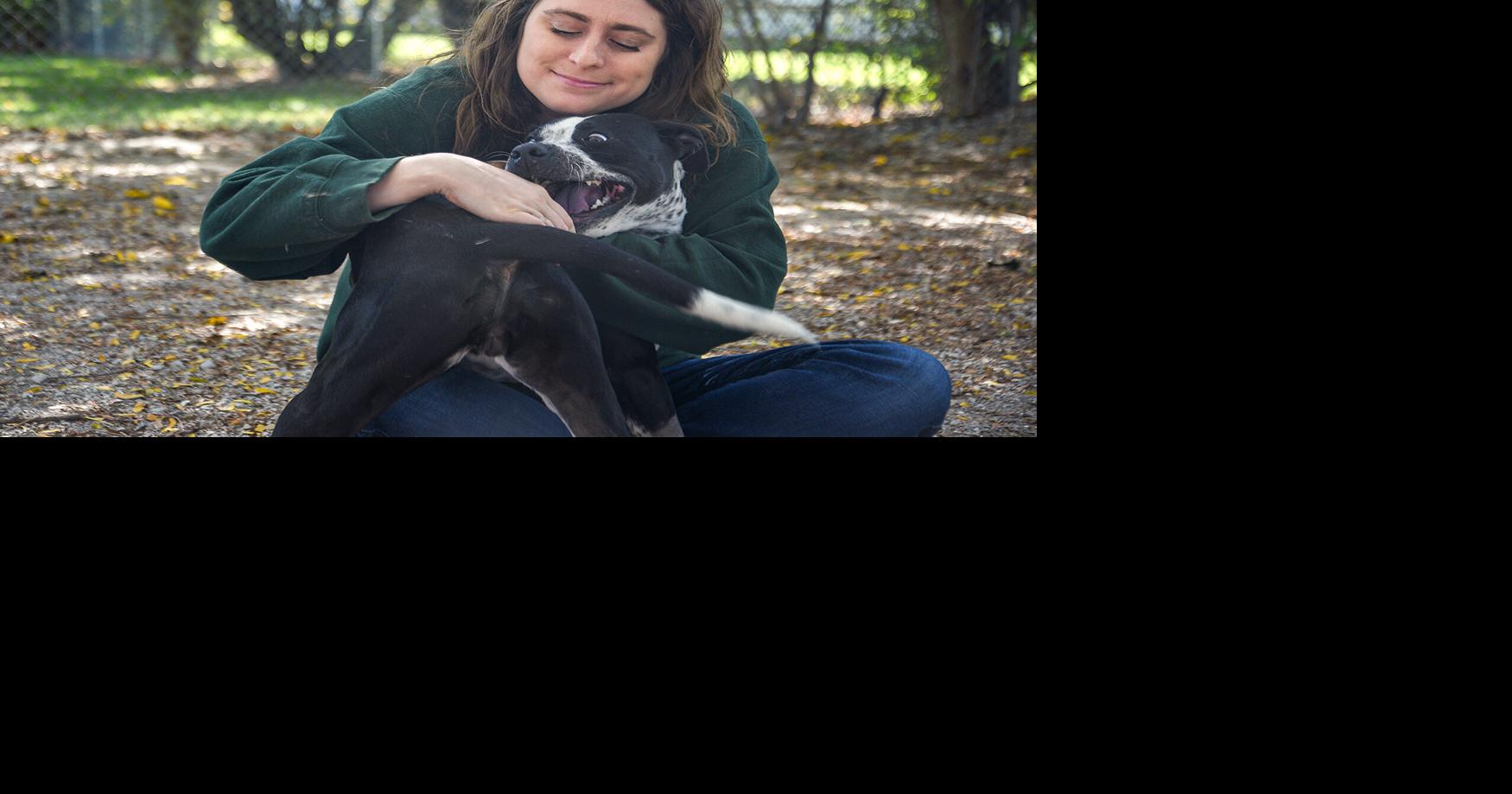 It's raining cats and dogs at overcrowded animal shelters in Columbia ...