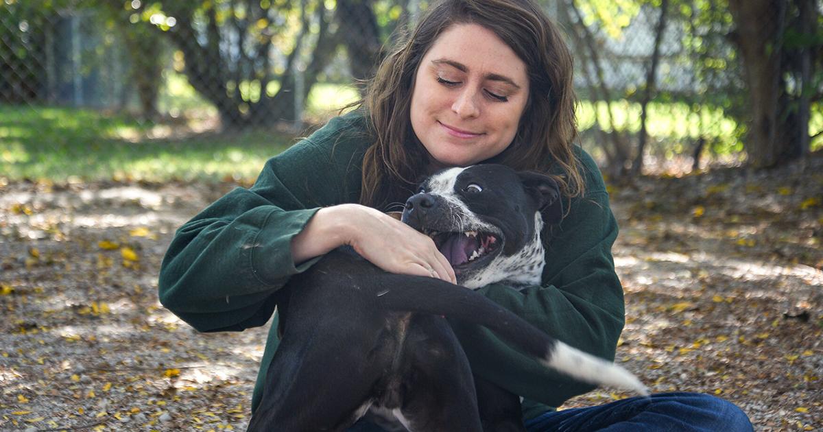 It's raining cats and dogs at overcrowded animal shelters in Columbia ...