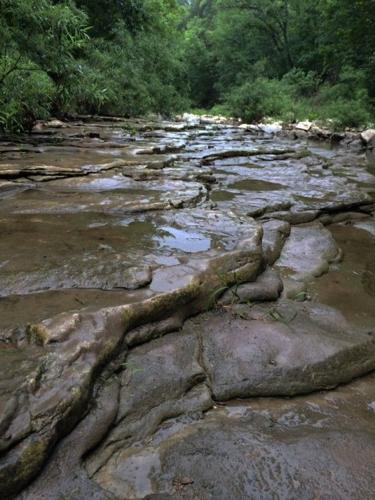 Get up and go: Three Creeks Conservation Area | &lt;span class=&ldquo;tnt 